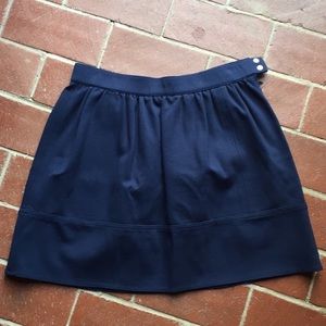 Madewell navy skirt
